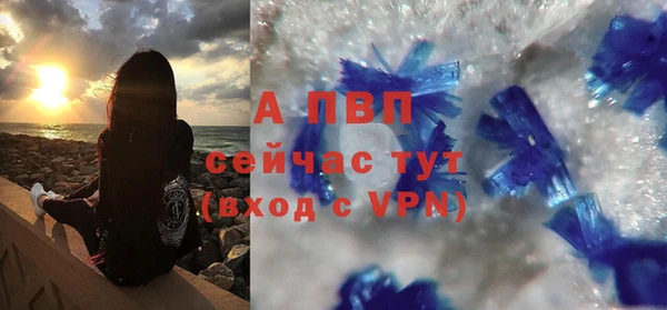 экстази Богданович