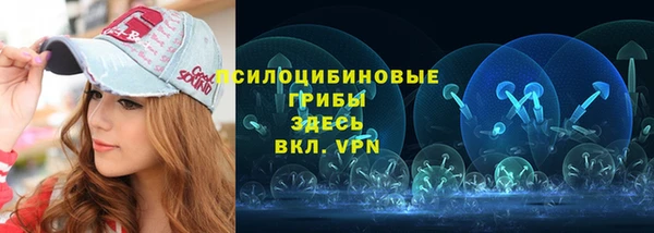 стафф Богородск