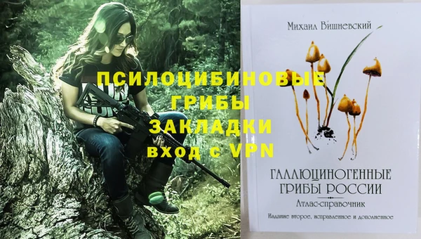 экстази Богданович