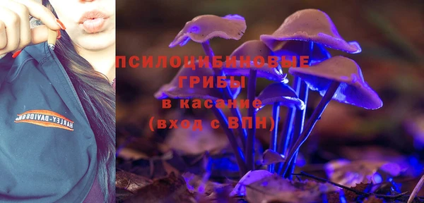 экстази Богданович