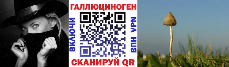 блэк спрут онион  маркетплейс какой сайт  Топки  Псилоцибиновые грибы MAGIC MUSHROOMS  купить наркотики сайты 