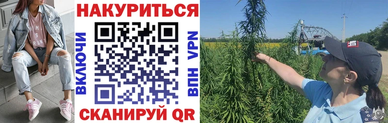 Конопля LSD WEED  KRAKEN зеркало  Топки 
